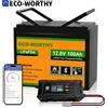 ECO－WORTHY ECO-WORTHY Batteria LiFePO4 12V 100Ah con Bluetooth e Caricabatterie 12/24V 20A, Batteria al Litio 12V 100AH con BMS e Protezione per Basse Temperature