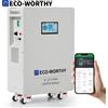 ECO－WORTHY ECO-WORTHY Batteria LiFePO4 48V 314Ah 16,1 kWh Accumulatore di Energia e Interruttori di Potenza 200A PACE BMS RS485/CAN/RS232 con Bluetooth
