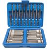 NONE Set di 36/50 punte per cacciavite extra lunghe con punte Torx, Star, esagonali e spline per cacciavite