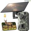 NONE Fotocamera per Fauna Selvatica 4G LTE con App, Fotocamera da Caccia Solare 2.7K con Scheda SIM, Fototrappola, Sensore di Movimento PIR, Visione Notturna, SENZA SCHEDA SD