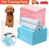 NONE 100/50 Pezzi Pannolini Assorbenti per Animali Domestici, Pannolini Super Assorbenti per Cani e Gatti, Tappetini Igienici Monouso ad Asciugatura Rapida per Urina di Cani e Gatti