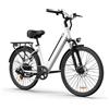 URLIFE Bicicletta elettrica da montagna URLIFE E26, motore da 250W, comoda bici elettrica da città, 48V 10.4AH, pneumatici da 26 pollici, stile unisex.