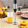 NONE Frullatore a Immersione 4 in 1 da 1000W con Frusta, Tritatutto e Bicchiere per Smoothie, Lame in Acciaio Inox per Ghiaccio