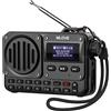 MLOVE BV800 Altoparlante Bluetooth super portatile con radio FM, display LCD, antenna, ingresso AUX, disco USB, scheda TF, lettore MP3