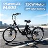 NONE SMARTRAVEL M300 Triciclo Elettrico per Adulti, Motore 250W, Batteria al Litio 36V15AH, Pneumatici da 24 Pollici, Triciclo Elettrico per Città e Shopping