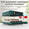 NONE Incubatrice Automatica 220V per 15/24/36 Uova di Quaglia e Piccole Uova di Pollame, Macchina per la Schiusa in Allevamento, Strumento Automatico per la Schiusa di Uova di Pollo e Quaglia con Girauova