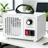 NONE Purificatore d'Aria con Generatore di Ozono 220V 60g, Depuratore d'Aria, Disinfezione e Sterilizzazione, Ozonizzatore per Rimozione Formaldeide, Elettrodomestico