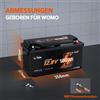 LiTime Batteria Litime 12.8 V 100Ah H190 Bluetooth LiFePO4, Protezione da Spegnimento a Bassa Temperatura, Batteria al Litio a Ciclo Profondo, Fino a 15.000 Cicli, Durata 10 Anni, Dimensioni DIN H8 L5