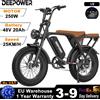 DEEPOWER Bicicletta Elettrica All-Terrain Deepower, Magazzino UE, Motore ad Alta Efficienza da 250W, Batteria al Litio Rimovibile da 48V 20Ah, Pneumatici Fat da 20 Pollici, Forcella Anteriore Idraulica,