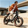 CEAYA Bicicletta Elettrica per Adulti eBIKE con Motore Brushless 48V15Ah, Bici Elettrica con Pneumatici Larghi 20 Pollici, Mountain Bike Elettrica, Disponibile in Magazzino UE