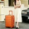 LUVCHAIN Valigia da Viaggio di Lusso in Lega di Alluminio-Magnesio da 20 Pollici, Trolley, Bagaglio a Mano Spedito dall'UE