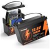 POWINVER Batteria al Litio LiFePO4 12.8V 100Ah con BMS Intelligente Integrato, Batteria Ricaricabile a Ciclo Profondo per Pannelli Solari, Camper, Barche, Roulotte, Accumulo di Energia Off-Grid,