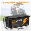 NONE Nuova Batteria LiFePO4 12.8V 8Ah 30Ah 100Ah 280Ah 300Ah di Grado A con BMS Integrato per Camper, Barche, Energia Solare - Senza Tasse e IVA