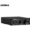 Aiyima Amplificatore Subwoofer AIYIMA Audio A3001 TPA3255 300W HIFI, Amplificatore per Altoparlanti Mono, Amplificatore di Potenza Classe D per Audio Domestico