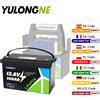YULONGNE Batteria LiFePO4 YULONGNE 12.8V 100Ah con BMS intelligente integrato, a ciclo profondo, al litio, per accumulo di energia solare, camper, barche, sistemi off-grid - Disponibilità EU