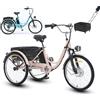 Generic Triciclo elettrico per adulti, 3 ruote, batteria da 36 V/13 Ah, motore da 45 Nm con ampi cestini rimovibili.