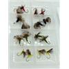 BestCity Comparadun Dry Fly per pesca a mosca, confezione da 16 + scatola per mosche in omaggio