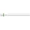 Philips MASTER, 22,1 W, 58 W, G13, 4100 lm, 75000 h, bianco freddo