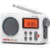 OEM Radio portatile - Ricezione AM/FM - Con timer, power bank e batterie