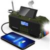 OEM Radio DAB-FM portatile con Bluetooth, impermeabile, in plastica nera
