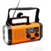 OEM Radio AM/FM in legno realizzata a mano - Alimentata a batterie - Compatta e portatile