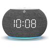 OEM Sveglia radio Netstroom con funzione DAB