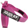 Julius-K9 Pettorina a Fascia Color & Gray, Taglia 2, Rosa/Grigio