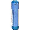 O.T.I. OFFICINE TERAPIE INNOVATIVE ZZZ POLLENS 30CH 70GR OTI