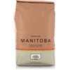 Molino Pasini Farina Manitoba di Grano Tenero Tipo 00 di Provenienza Nord America e UE, 1 Kg