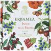 ERBAMEA Srl INFUSI PIRAMIDALI SCATOLA RE