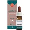 Erba Vita Olio Essenziale Zenzero Integratore Digestivo 10 Ml