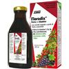 SALUS HAUS GMBH & CO KG Floradix Linfa D'erbe Ricca Di Ferro 250ml