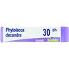 BOIRON Phytolacca Decandra Boiron Granuli 30 Ch Contenitore Monodose