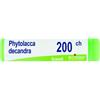 BOIRON Phytolacca Decandra Boiron Granuli 200 Ch Contenitore Monodose