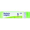 BOIRON Berberis Vulgaris Boiron 80 Granuli 5 Ch Contenitore Multidose