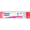 BOIRON Berberis Vulgaris Boiron 80 Granuli 7 Ch Contenitore Multidose