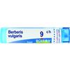 BOIRON Berberis Vulgaris Boiron 80 Granuli 9 Ch Contenitore Multidose