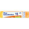 BOIRON Rhus Toxicodendron Boiron 80 Granuli 15 Ch Contenitore Multidose