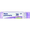 Boiron Sticta Pulmonaria Boiron 80 Granuli 30 Ch Contenitore Multidose