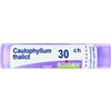 Boiron Caulophyllum Thalictroides 80 Granuli 30 Ch Contenitore Multidose