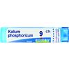 BOIRON Kalium Phosphoricum Boiron 80 Granuli 9 Ch Contenitore Multidose