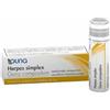 GUNA Herpes Simplex Guna Compositum 1 Contenitore Multid 4g 80 Granuli