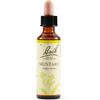 SCHWABE PHARMA ITALIA Schwabe Fiori Di Bach 21 Mustard Gocce 20ml