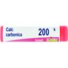 Boiron Calcarea Carbonica Ostrearum 200k Tubo Dose 1 G.