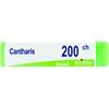 Boiron Cantharis Globuli 200ch Dose 1g