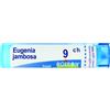 Boiron Eugenia Jambosa 9ch Tubo Granuli 4 G.
