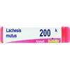Boiron Lachesis Mutus Globuli 200k Dose 1g