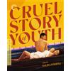 The Criterion Collection Cruel Story of Youth (The Criterion Collection) (Blu-ray) Nagisa Oshima