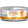 Disugual Cat Intestinal Alimento Dietetico per Gatti Gusto Tacchino 85 g