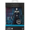 Hasbro Action Figure Star Wars Black Series Lord Starkiller Hasbro